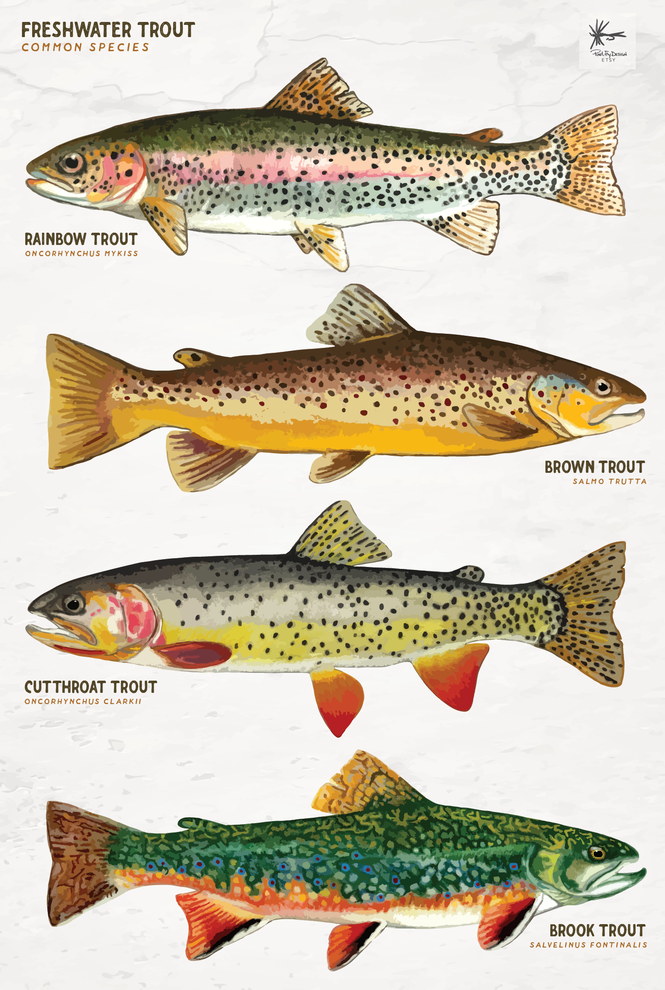Trout